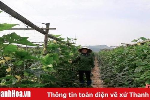 Đảng bộ huyện Thạch Thành tạo động lực mới sớm đưa nghị quyết vào cuộc sống