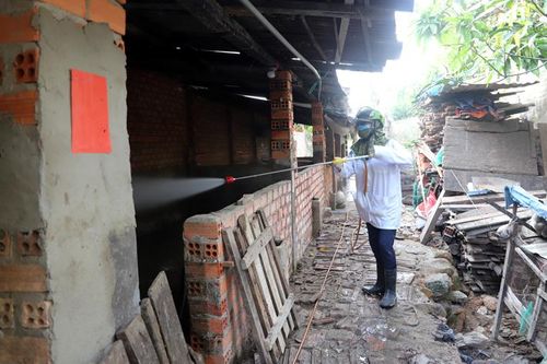 Huyện Đạ Tẻh cơ bản kiểm soát bệnh lở mồm long móng trên đàn gia súc