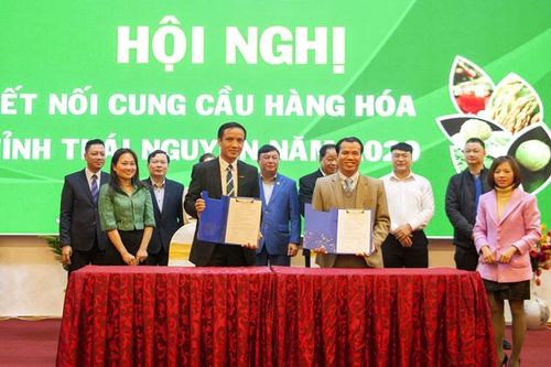 Kết nối cung - cầu nông sản an toàn