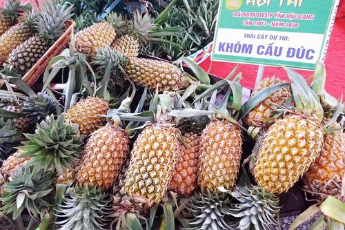 Hội chợ Công thương và sản phẩm OCOP khu vực phía Nam tại Hậu Giang sẽ diễn ra từ ngày 15 - 21/12