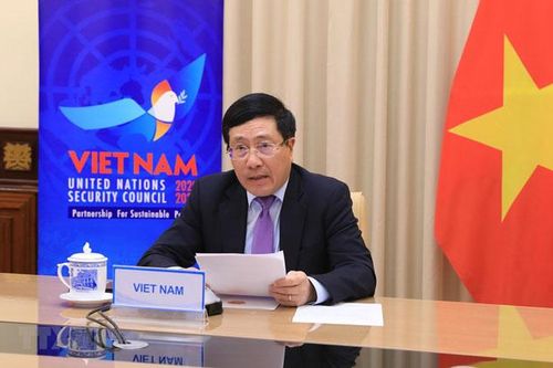 Việt Nam ủng hộ tăng cường quan hệ hợp tác giữa Liên hợp quốc và Liên minh châu Phi