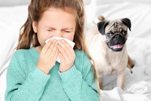 10 yếu tố khiến hen phế quản nặng lên