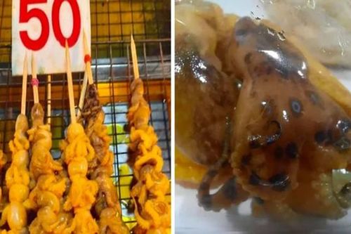 Quầy hàng xiên nướng ở Thái Lan bán bạch tuộc siêu độc, có thể gây tử vong trong nháy mắt