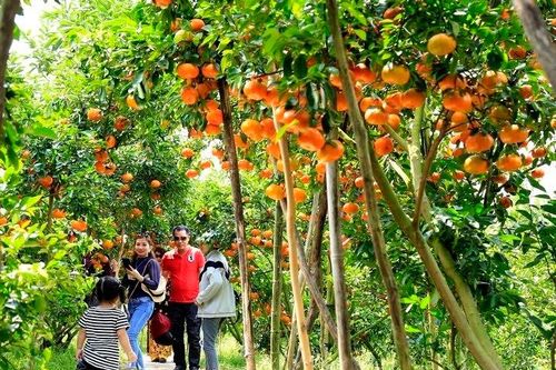 Xây dựng thương hiệu du lịch nông nghiệp để phát triển kinh tế xã hội