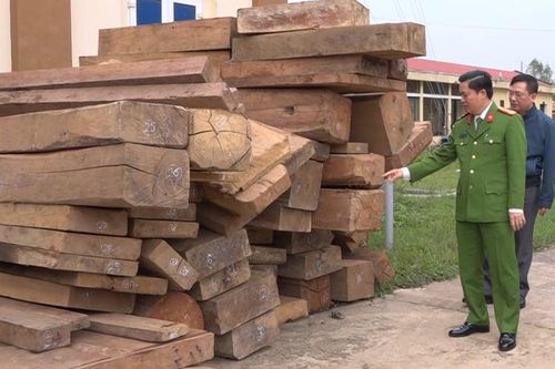 Quảng Bình bắt vụ phá rừng quy mô lớn