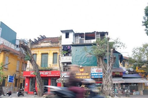 Hà Nội: Di chuyển, chặt hạ 40 cây xanh trên phố Trần Hưng Đạo