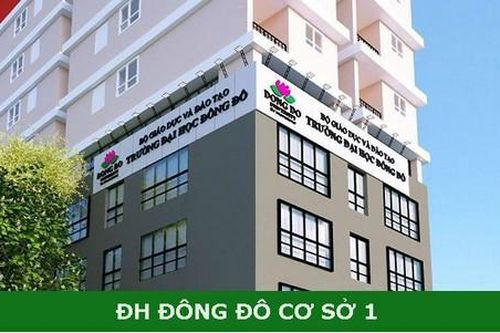 Giáo sư Phạm Tất Dong: 'Nên giải thể Trường Đại học Đông Đô'