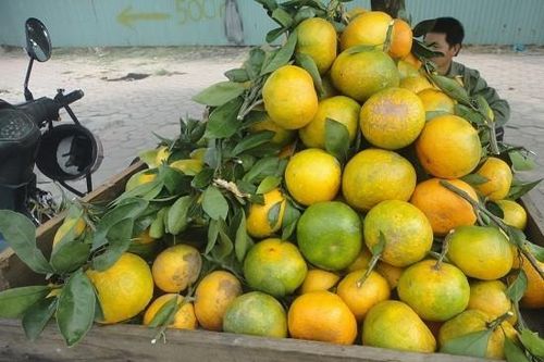 Thị trường 7/12: Lãi suất cho vay mua nhà giảm chậm, cam Cao Phong giá rẻ tràn phố Hà Nội