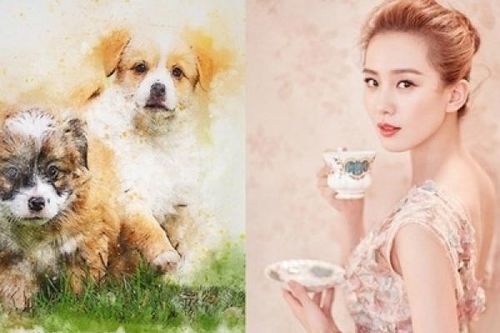 5 con giáp này nghèo trước giàu sau, khổ trước sướng sau, tiền bạc rủng rỉnh