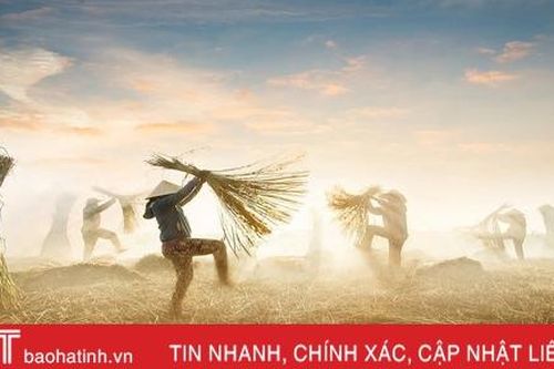 Tác phẩm Việt vào top cuộc thi ảnh đẹp 2020