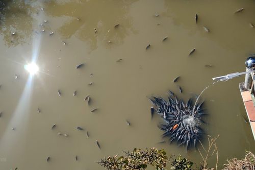 Cuộc sống người dân thành phố Sơn La đảo lộn vì nguồn nước bị ô nhiễm