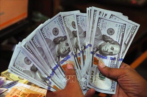 Sáng 7/12, tỷ giá trung tâm giảm 5 đồng