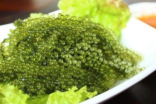'Siêu thực phẩm' chống ung thư tự nhiên có thể bạn chưa biết