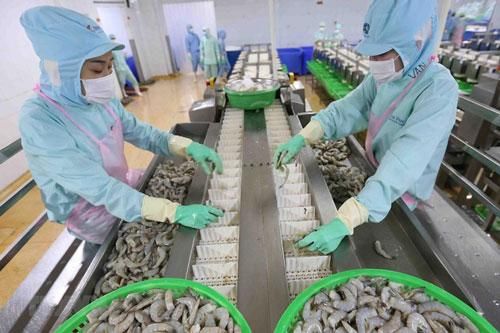 Ngành nông nghiệp xuất siêu hơn 9 tỷ USD trong 11 tháng 2020