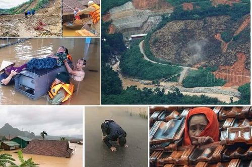 GS-TSKH. Nguyễn Ngọc Lung: 'Chúng ta chỉ thấy cây mà không thấy rừng'