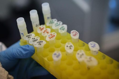 Trung Quốc chuẩn bị tiêm chủng Covid-19 bằng vaccine sản xuất trong nước