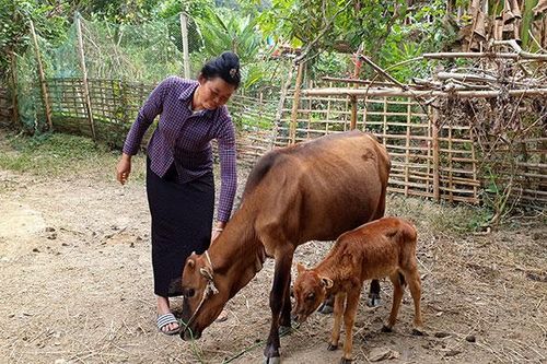 Tập trung giải ngân vốn chương trình giảm nghèo
