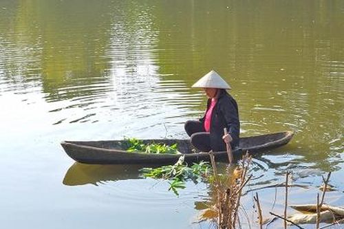 Hiệu quả từ mô hình nuôi cá tổng hợp