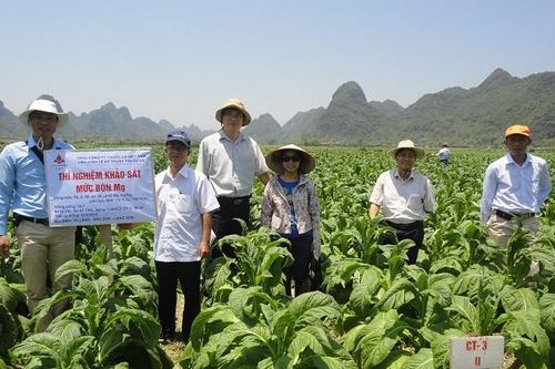 Viện Thuốc lá: Hướng tới trình độ Khoa học công nghệ hàng đầu tại Đông Nam Á