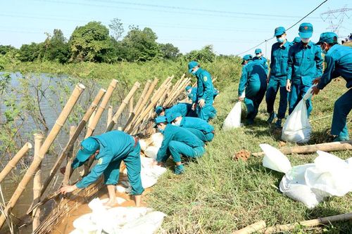 Nâng kỹ năng hộ đê cho lực lượng phòng, chống thiên tai