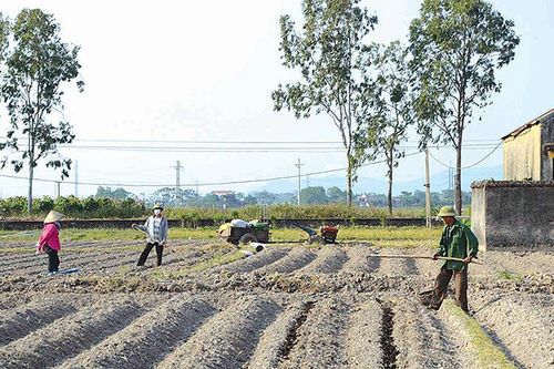Nhiều hoạt động hỗ trợ người dân vùng thiên tai