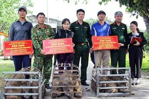 Bàn giao mô hình giảm nghèo tại khu Kinh tế Quốc phòng Ea Súp