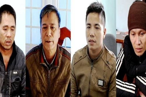 Công an Quảng Bình khám phá vụ phá rừng Trường Sơn rất nghiêm trọng
