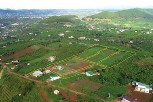 Xẻ đồi phân lô tràn lan ở lâm Đồng: Hệ lụy địa phương và khách hàng phải 'gánh'