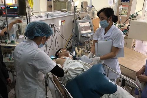 Rượu thuốc đừng để thành 'rượu độc'