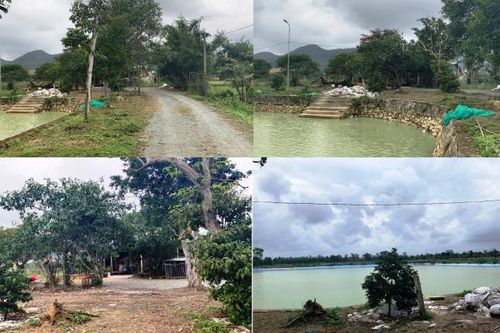 Thạch Hà (Hà Tĩnh): Chủ tịch xã Ngọc Sơn xây dựng nhà trái phép trên đất nông nghiệp