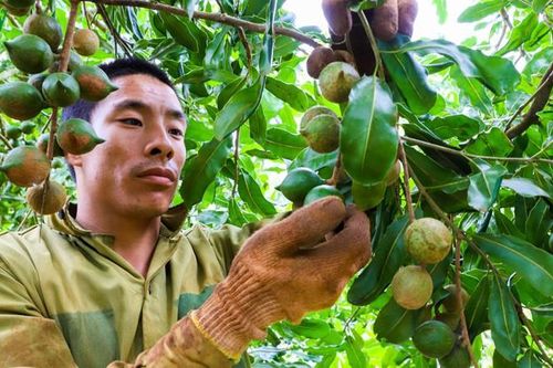 Ám ảnh bóng ma đa cấp thời 4.0: Chiêu cuội bán vịt giời