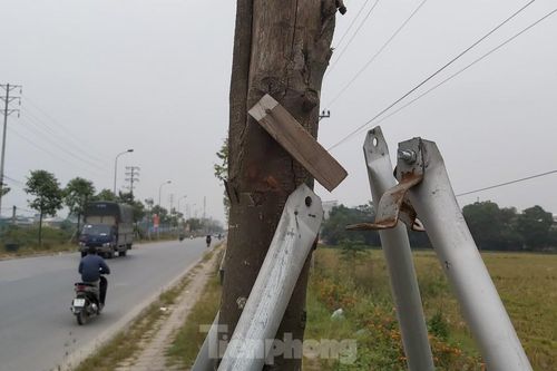 Vừa thay mới, hàng ngàn cọc chống cây xanh ngoại thành Hà Nội đã gãy đổ