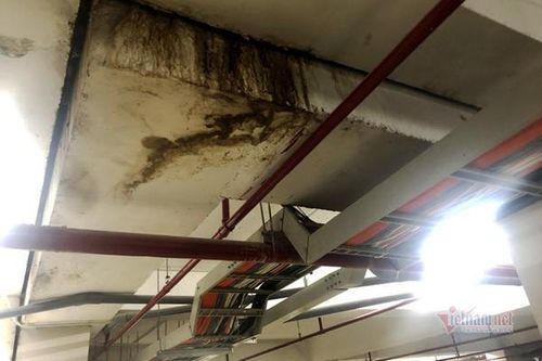 Chung cư mới bàn giao đã xuống cấp, chủ đầu tư nói 'không nhận nhà thì trả lại'