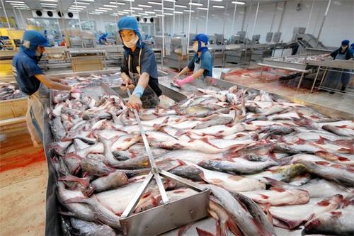 Trung Quốc yêu cầu siết chặt, Bộ lập tức chỉ đạo hàng Việt chú ý