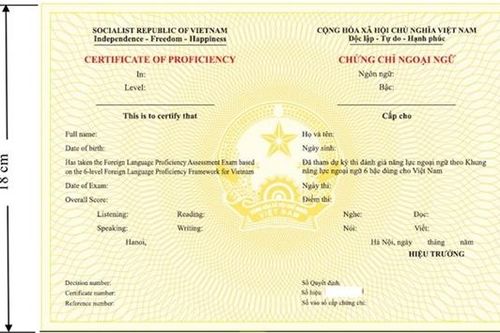 Cần cách nhìn đầy đủ về chứng chỉ ngoại ngữ, tin học