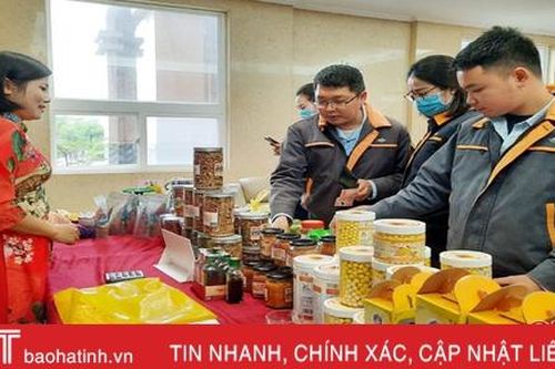 Formosa Hà Tĩnh tổ chức trưng bày 100 sản phẩm OCOP