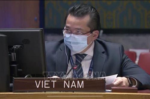 Việt Nam và HĐBA: Việt Nam bày tỏ quan ngại về tình hình bạo lực ở CHDC Congo