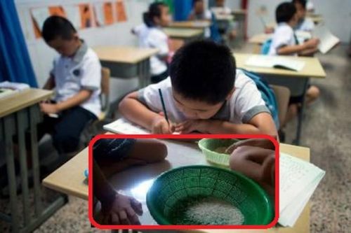 Cô giáo yêu cầu học trò đem đủ 10.000 hạt gạo đến lớp, cả nhà vừa bực tức vừa miệt mài đếm đến nửa đêm