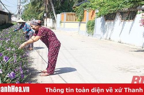Sức sống mới vùng ven đô