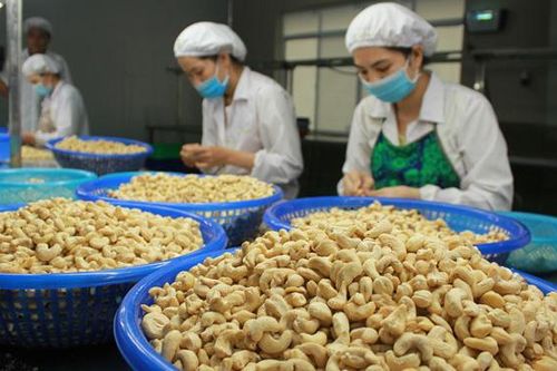 Xuất khẩu nông sản đạt 37,4 tỷ USD: Lâm sản và lúa gạo 'cứu' cả ngành nông nghiệp