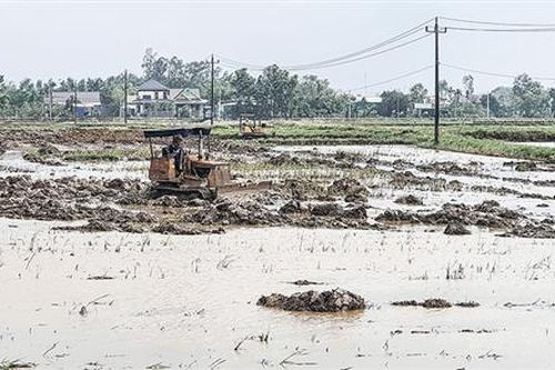 Nỗ lực vượt khó để triển khai sản xuất vụ đông xuân
