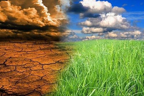 Biến đổi khí hậu: Chiến lược gì để đối phó?
