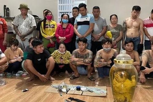 Đột kích sòng bạc lớn của 2 nữ quái, phát hiện cả con hổ ngâm rượu