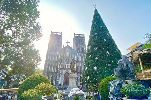 Cận cảnh những cây thông Noel 'khổng lồ' tại Hà Nội