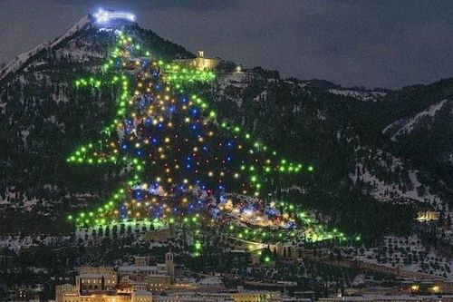 Giáng sinh 2020: Chiêm ngưỡng những cây thông Noel ấn tượng trên thế giới