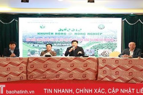Chuyên gia, chủ trang trại 'tìm đường' sản xuất bền vững cho cây cam