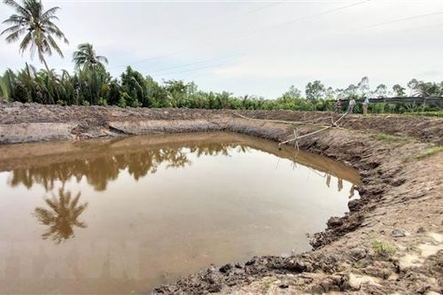 Bến Tre trích 38,5 tỷ đồng hỗ trợ người dân bị thiệt hại bởi hạn mặn