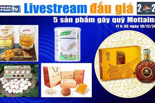 11h30 ngày 10/12: Livestream đấu giá 5 sản phẩm gây quỹ Mottainai 2020
