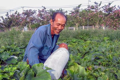 Giá thực phẩm hôm nay 9/12: Bí đao bung tăng giá