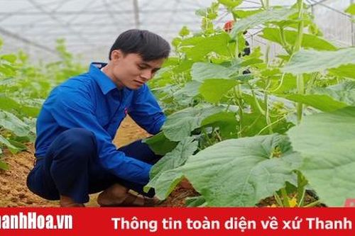 Mô hình trang trại xanh 3 sạch của chàng trai dân tộc Thái giành giải thưởng Lương Định Của